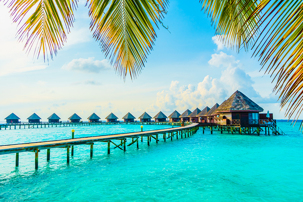 The Maldives